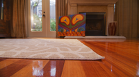Waniska 4'x6' Area Rug