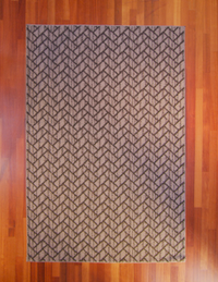 Ways of Knowing 4'x6' Area Rug