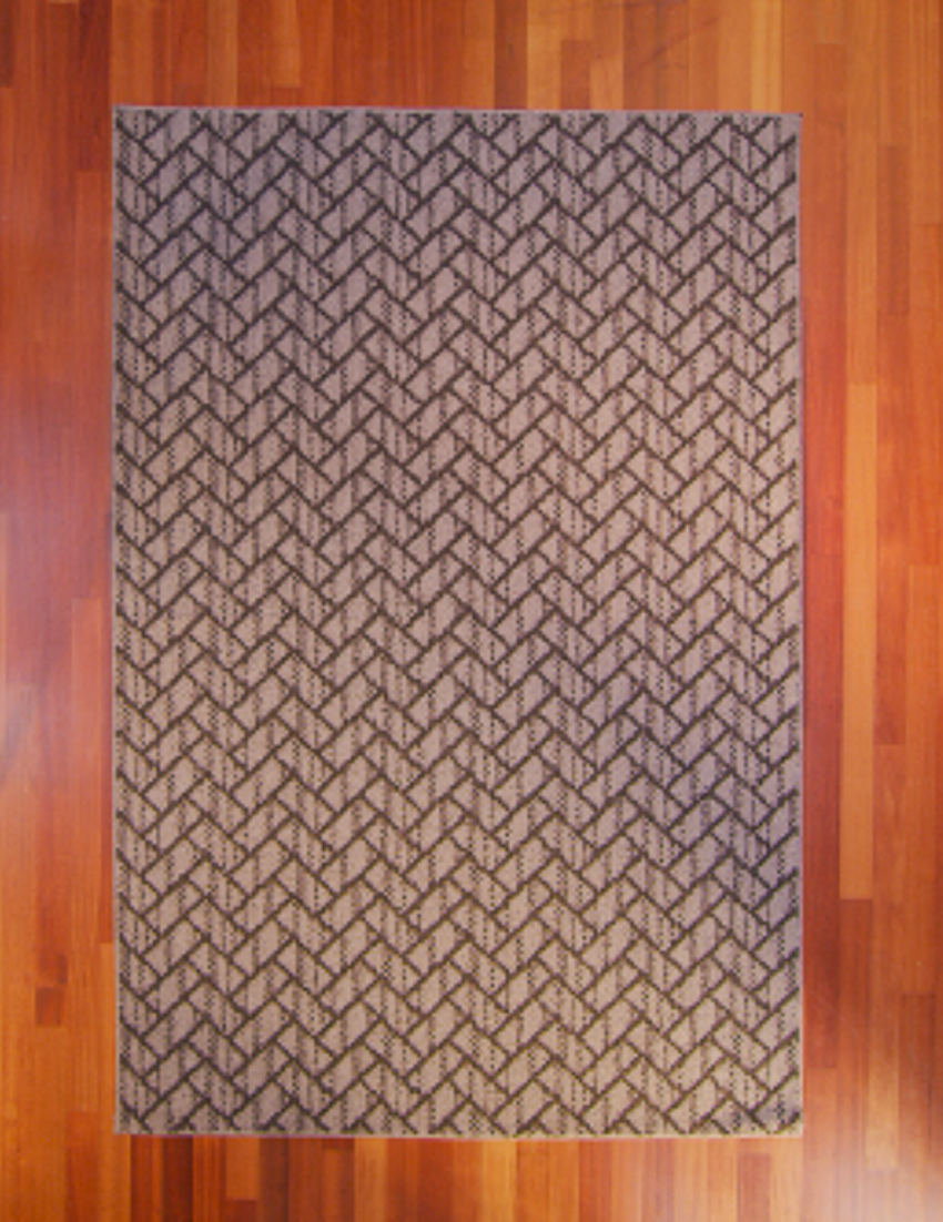 Ways of Knowing 4'x6' Area Rug